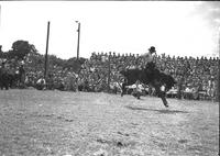 [Unidentified Cowboy riding Bronc with bleachers in background filled with military personnel]