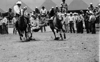 Marty Burleson Steer wrestling