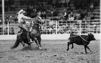 Brad Raney Calf roping