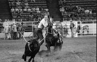Steve Flinn Calf roping