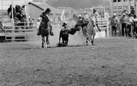 Barney Carnagey Steer wrestling