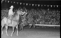 Matt Reed re-ride on unknown Bronc