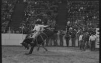 Rocky Kukla on Kemper