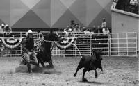 Dave Smith Calf roping