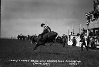 Henry Stanko Riding Wild Brahma Bull Sheridan, Wyo Rodeo
