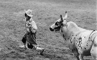 Rodeo clown Leon Coffee Bull fighting