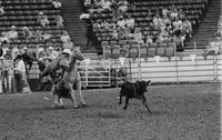 Brad Riney Calf roping