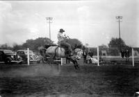 [Unidentified Cowboy riding and staying with bucking bronc]