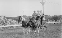 Stage Coach