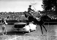 [Unidentified cowboy loses footing in attempt to Roman Ride two horses over automobile]