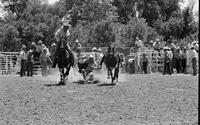 Larry Autry Steer wrestling