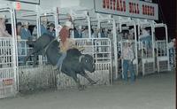 Gary Toolf on Bull #202