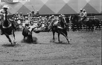 Mike Hayes Steer wrestling
