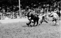 Greg Pharris on Bull #F19