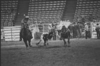 Darin Good Steer wrestling