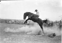 Bob Bolton on "Jonnie" Lee Rodeo