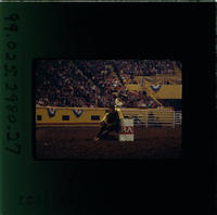 Vicki Adams Barrel racing