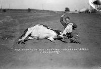 Red Thompson Bulldogging Fullerton Rodeo