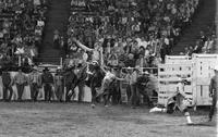 Mike Magers on Bull #7