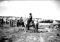 [Unidentified Cowgirl atop an Apaloosa Horse with pens in background]