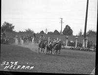 Dave Campbell Steer Wrestle