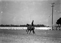 Peggy Murray Doing Tail Stand