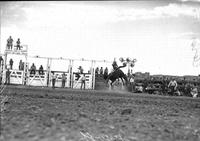 [Unidentified cowboy riding saddle bronc at the Marias Fair & Rodeo, July 21-24, 1947]