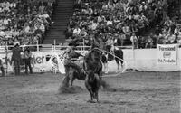 Roger Branch Calf roping