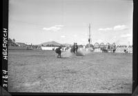 Tony Salinas Calf Roping