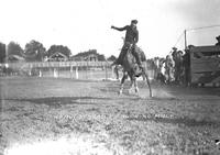 Heavy Henson on Bucking Mule