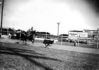 [Unidentified calf roper bearing down on calf]