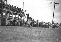 [Unidentified Cowboy riding bull with one hand raised overhead]