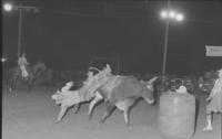 Joe Bonner on Bull #147