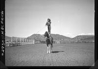 [Nancy Kelley standing atop horse spinning rope]