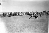[Unidentified Cowgirl doing Shoulder Stand on galloping horse in arena]