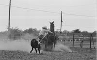 Colin Howell Calf roping