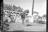 Ralph Stanton on War Bonnet