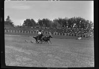 Bill Hancock Steer Wrestling