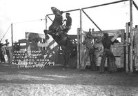 Heavy Henson Coming Out on a Wild One King Bro's Rodeo, Alexander City, Ala.