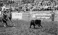 Larry Ferguson Calf roping