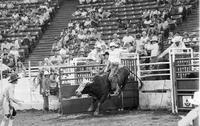 Reno Livingston on Spike
