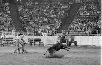 Mike McLaughlin Calf roping