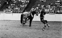 Rodeo clown Rex Dunn specialty act