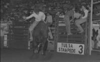 Art Ray on Bull #222