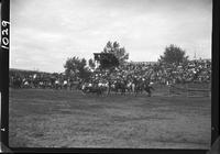 Frank Woods Calf Roping