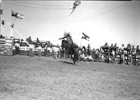 [Unidentified Cowboy riding bronc with Chute #4 to left]