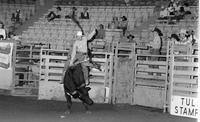 Malcolm Chiasson on Bull #121