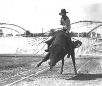 Joe Evans Riding Buffalo [X] Rodf Rodeo, Memphis, Tenn