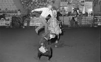 Kelly Corbin Calf roping