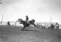 [Unidentified Cowboy riding bronc past "Western Reserve Life Insurance Co." on wooden fence]